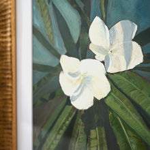 Load image into Gallery viewer, Frangipani Study