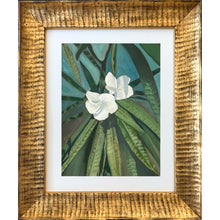 Load image into Gallery viewer, Frangipani Study