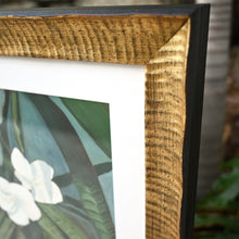 Load image into Gallery viewer, Frangipani Study